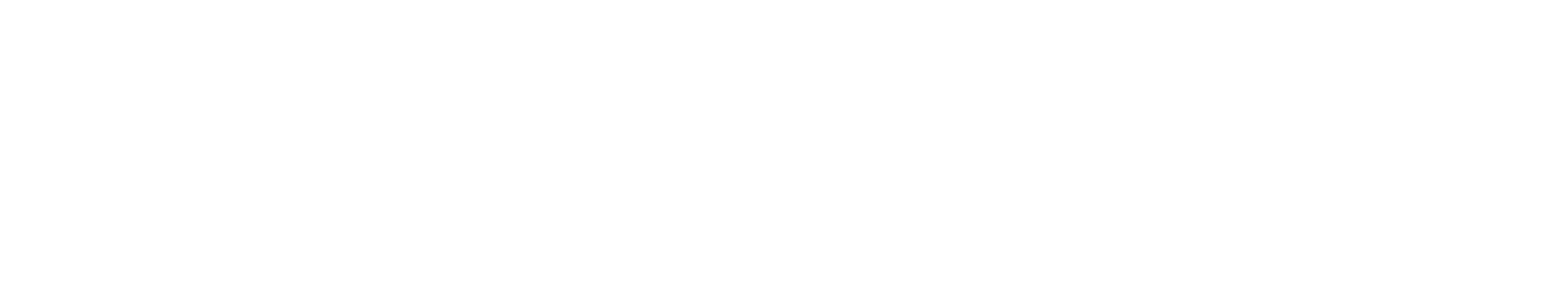 logowhite
